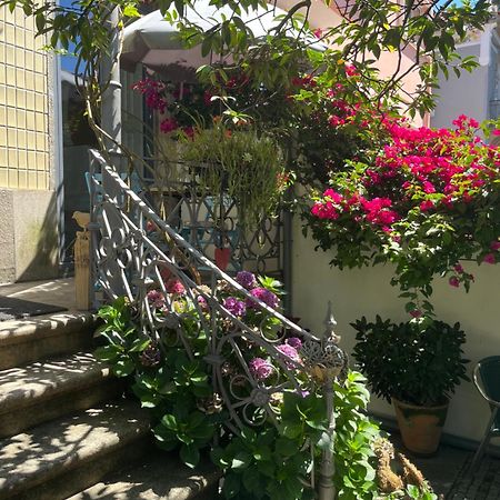 Vila Camelia Porto Buitenkant foto