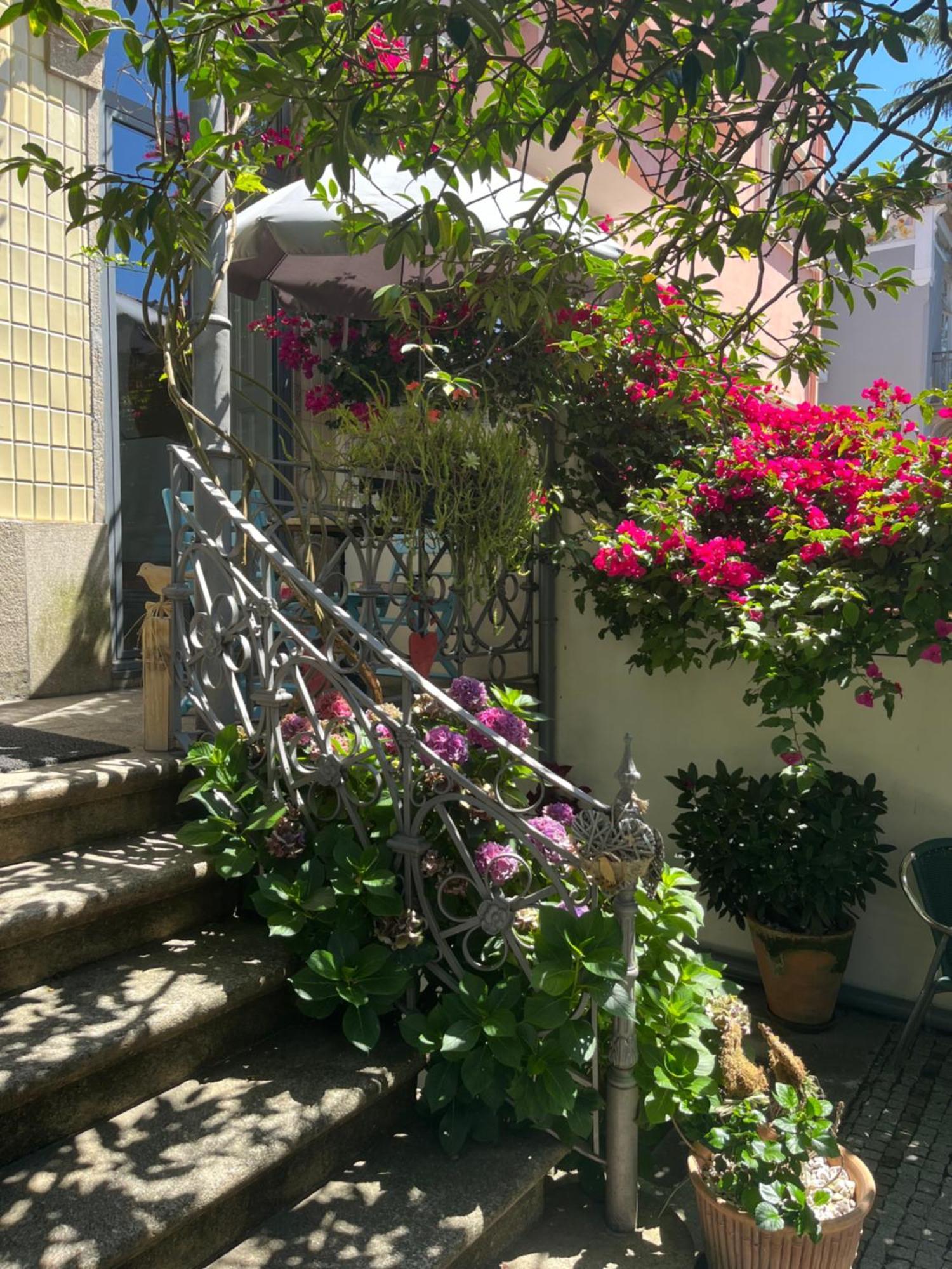 Vila Camelia Porto Buitenkant foto